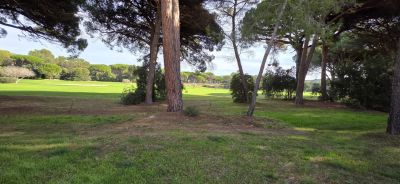 Vente Studio Saint-Raphaël - Réf. 12381A  - Mandataire immobilier Stéphanie Van De Kadsye - image 7