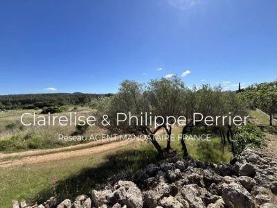 Vente Terrain constructible Carcès - Réf. 12734  - Mandataire immobilier Clairelise Perrier - image 2