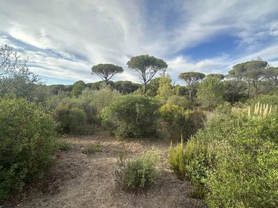 Vente Terrain constructible Fréjus - Réf. 12797  - Mandataire immobilier Linda Bergonzi - image 3