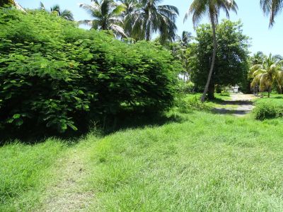 Sainte-Anne 97180 – Terrain