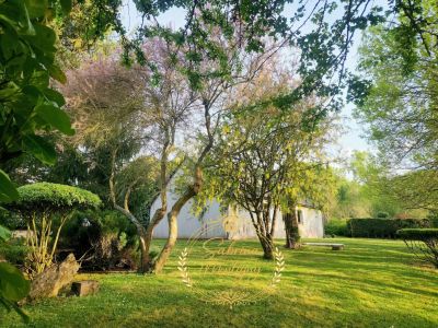 Vente Maison de village Saché - Réf. 12353  - Mandataire immobilier Sabrina Montigny - image 6