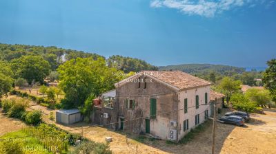 Vente Propriété Draguignan - Réf. 12561A  - Mandataire immobilier Stéphanie Van De Kadsye - image 8