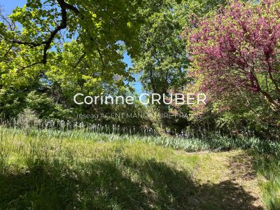 Vente Maison Digne-les-Bains - Réf. 12582A  - Mandataire immobilier Corinne Gruber - image 39