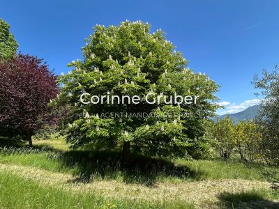 Vente Maison Digne-les-Bains - Réf. 12582A  - Mandataire immobilier Corinne Gruber - image 37