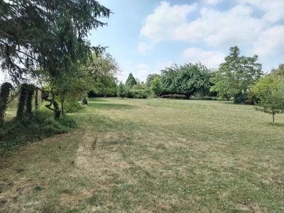 Vente Terrain Villebéon - Réf. 11630  - Mandataire immobilier Marie Butet - image 3
