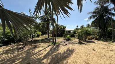 Vente Villa Cayenne - Réf. 11972  - Mandataire immobilier Philippe Le Roux - image 3