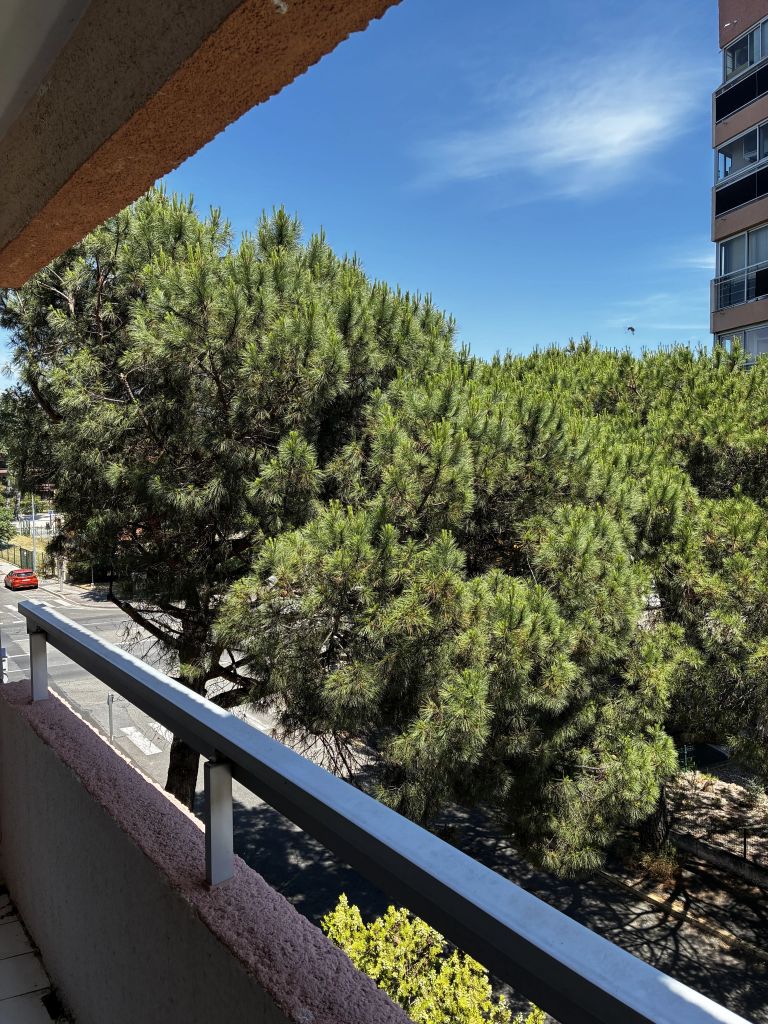 Studio 19.47 m²