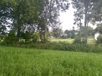 Vente Terrain constructible Beaux - Réf. 12928  - Mandataire immobilier Zoé Scardone - image 4