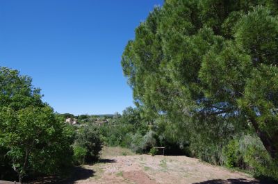 Vente Maison Le Muy - Réf. 12969A  - Mandataire immobilier Régine Finistre - image 20