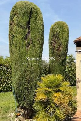 Aix-en-Provence 13540 – Maison
