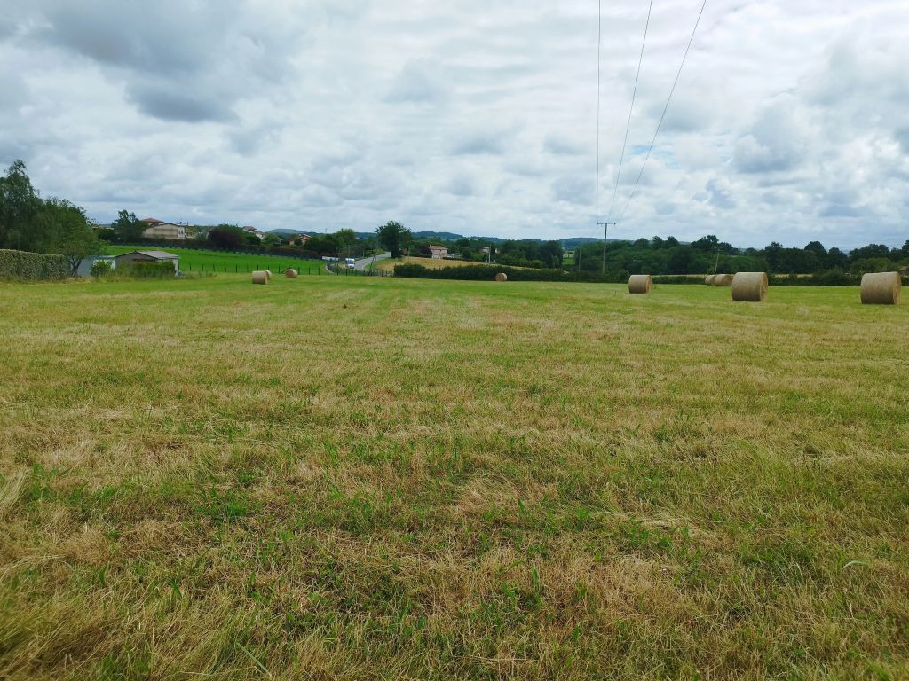 Terrain constructible 1205 m²