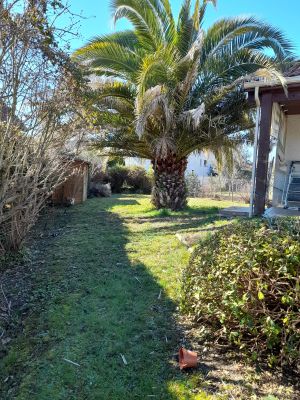 Vente Appartement Tarbes - Réf. 12866  - Mandataire immobilier Eric Peyregne - image 2