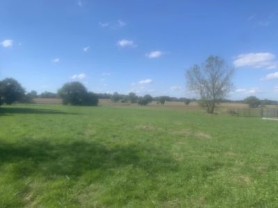 Vente Terrain constructible Ger - Réf. 11677  - Mandataire immobilier Eric Peyregne - image 4
