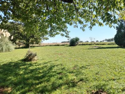 Vente Maison Nanteau-sur-Lunain - Réf. 12798  - Mandataire immobilier Marie Butet - image 5