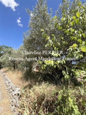 Vente Terrain constructible Saint-Antonin-du-Var - Réf. 11367  - Mandataire immobilier Clairelise Perrier - image 2