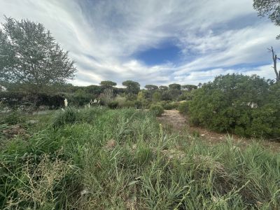 Vente Terrain constructible Fréjus - Réf. 12797A  - Mandataire immobilier Linda Bergonzi - image 2