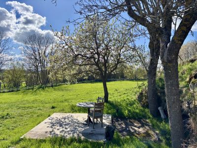 Vente Propriété Alleyrac - Réf. 12821A  - Mandataire immobilier Zoé Scardone - image 21