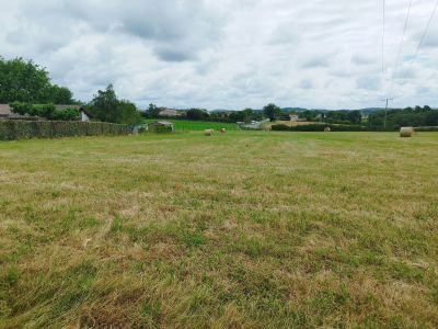Vente Terrain constructible Saint-Gaudens - Réf. 13064  - Mandataire immobilier Catalina Gutierrez - image 2