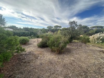 Vente Terrain constructible Fréjus - Réf. 12797A  - Mandataire immobilier Linda Bergonzi - image 3
