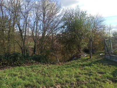 Vente Terrain inconstructible Les Martres-d'Artière - Réf. 12155  - Mandataire immobilier Thierry Dagba - image 2