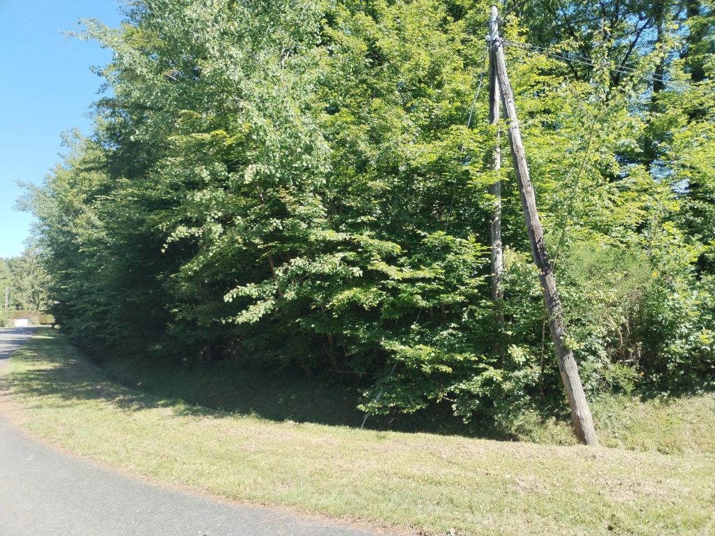 Terrain constructible 2336 m²