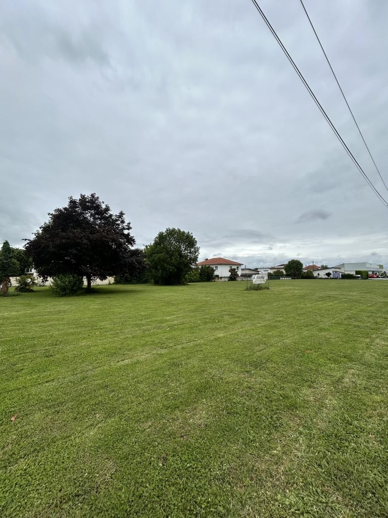 Terrain 1000 m²