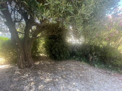 Vente Villa Draguignan - Réf. 13028  - Mandataire immobilier Sylvie Geler - image 11