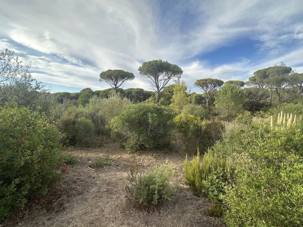 Terrain constructible 519 m²