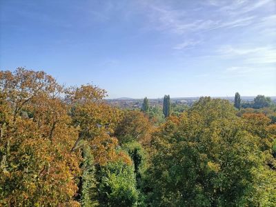 Vente Appartement Maisons-Laffitte - Réf. 12758A  - Mandataire immobilier Jérôme Karsenti - image 3