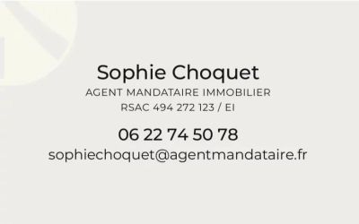 Vente Pavillon Sebourg - Réf. 13268  - Mandataire immobilier Sophie Choquet - image 13