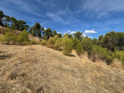 Vente Terrain agricole Figanières - Réf. 13206A  - Mandataire immobilier Régine Finistre - image 9