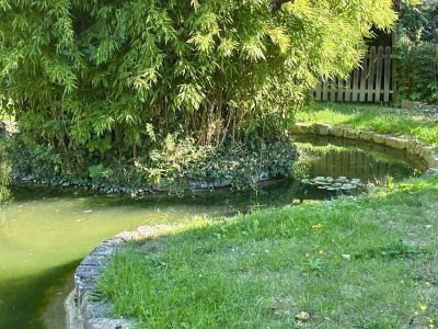 Vente Maison Noisy-sur-École - Réf. 13238  - Mandataire immobilier Franck Baudon - image 11