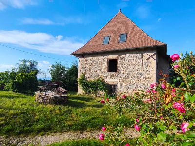Immeuble 390 m²