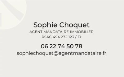 Vente Appartement Valenciennes - Réf. 12983  - Mandataire immobilier Sophie Choquet - image 10
