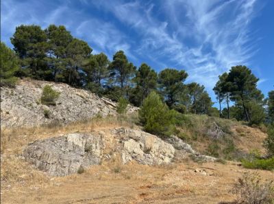 Vente Terrain agricole Figanières - Réf. 13206A  - Mandataire immobilier Régine Finistre - image 12