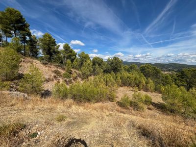 Vente Terrain agricole Figanières - Réf. 13206A  - Mandataire immobilier Régine Finistre - image 4