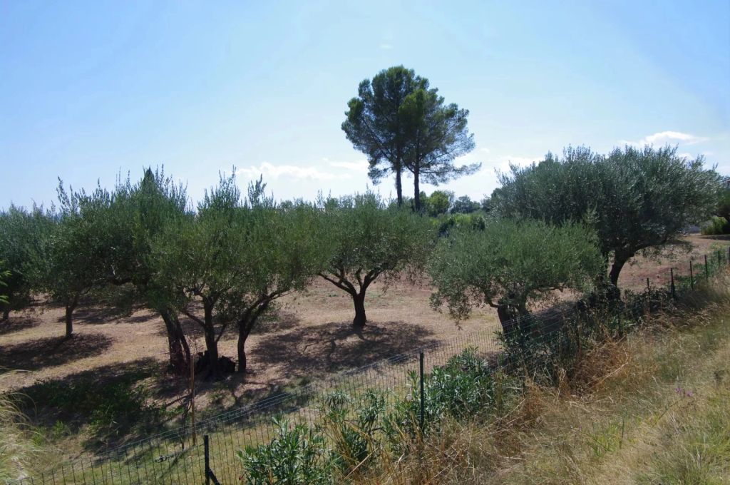 Terrain 1200 m²