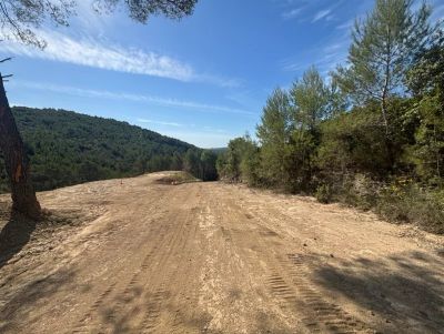 Vente Terrain agricole Figanières - Réf. 13206A  - Mandataire immobilier Régine Finistre - image 7