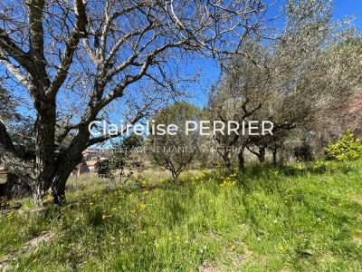 Vente Propriété Saint-Antonin-du-Var - Réf. 13066A  - Mandataire immobilier Clairelise Perrier - image 3