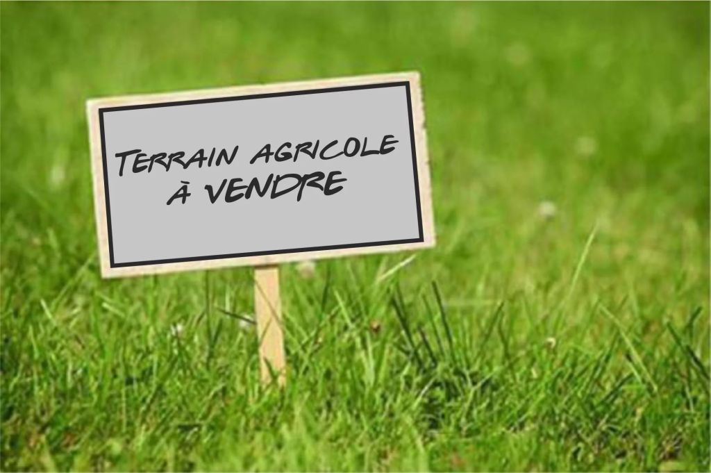Terrain 4677 m²