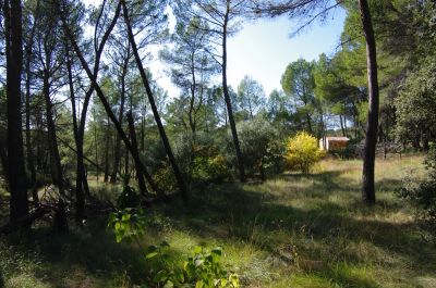 Vente Maison Villecroze - Réf. 13380A  - Mandataire immobilier Régine Finistre - image 3