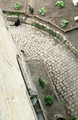 Vente Hôtel particulier Valenciennes - Réf. 13359  - Mandataire immobilier Sophie Choquet - image 15
