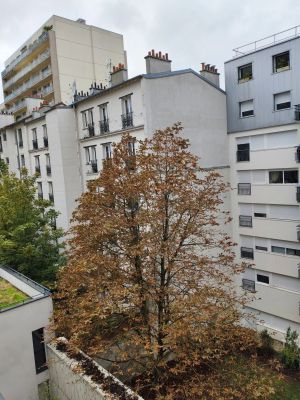 Vente Appartement Paris 20ème - Réf. 13515  - Mandataire immobilier Jérôme Karsenti - image 9