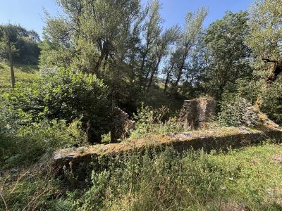 Vente Ruine Freycenet-la-Cuche - Réf. 13484  - Mandataire immobilier Zoé Scardone - image 8