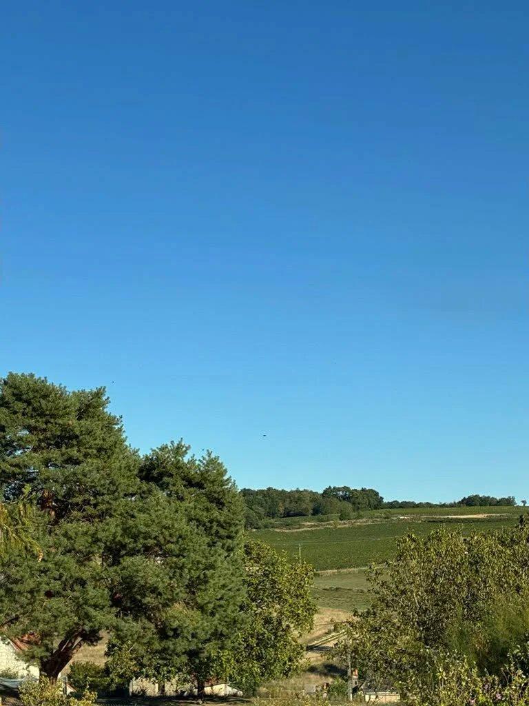 Terrain 1544 m² · à Cravant-les-Côteaux · 49 900 €