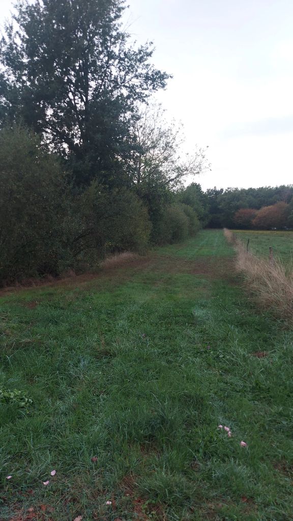 Terrain 7940 m² · à Orléat · 25 000 €