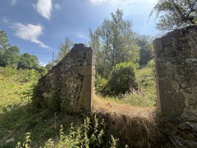 Vente Ruine Freycenet-la-Cuche - Réf. 13484  - Mandataire immobilier Zoé Scardone - image 5