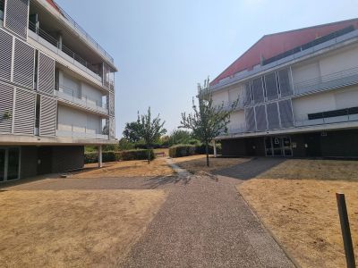 Vente Appartement Olivet - Réf. 13280  - Mandataire immobilier Charline Durand-Henry - image 2