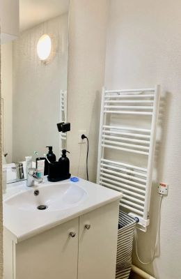 Vente Studio Lyon 7ème - Réf. 13474  - Mandataire immobilier Céline Ragot - image 4