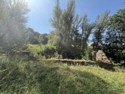 Vente Ruine Freycenet-la-Cuche - Réf. 13484  - Mandataire immobilier Zoé Scardone - image 6